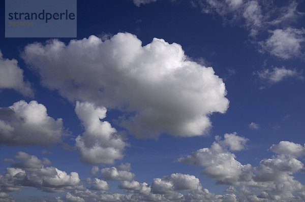 Wolkenformationen  Quellwolken