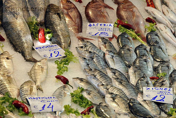 Fischverkauf  Marktviertel  Markthallen  Thessaloniki  Chalkidiki  Makedonien  Griechenland  Europa
