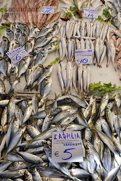 Fischverkauf  Marktviertel  Markthallen  Thessaloniki  Chalkidiki  Makedonien  Griechenland  Europa