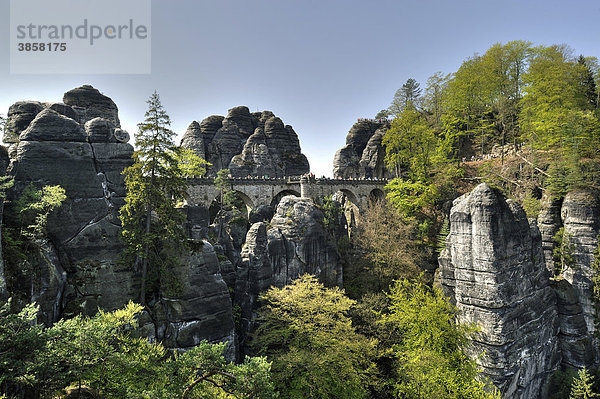 Blick über die Felsformationen der Bastei  Sächsische Schweiz  Elbsandsteingebirge  Freistaat Sachsen  Deutschland  Europa