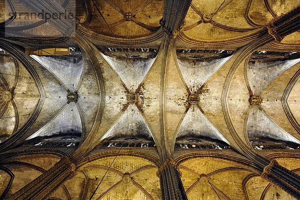 Innenaufnahme Netzgewölbe  Decke Hauptschiff  gotische Kathedrale La Catedral de la Santa Creu i Santa Eul‡lia  Barcelona  Katalonien  Spanien  Europa
