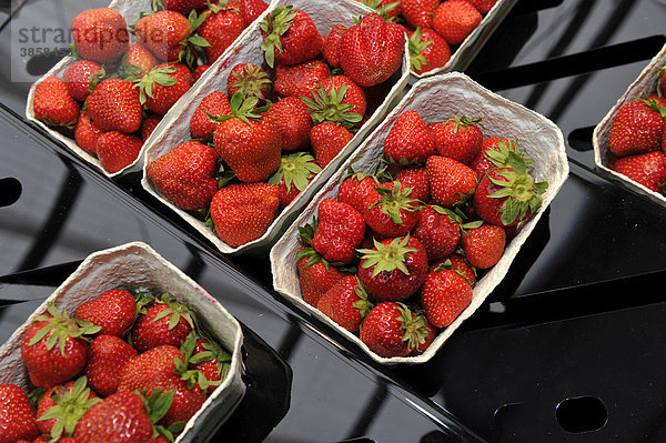 Erdbeeren  Auslage  Lebensmittelmarkt  Einzelhandel