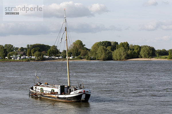 Kleines Fischerboot auf dem Rhein bei Kalkar-Grieth  Niederrhein  Nordrhein-Westfalen  Deutschland  Europa
