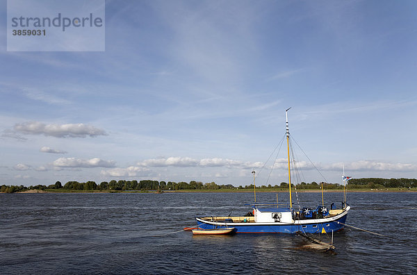 Kleines Fischerboot auf dem Rhein  bei Kalkar-Grieth  Niederrhein  Nordrhein-Westfalen  Deutschland  Europa