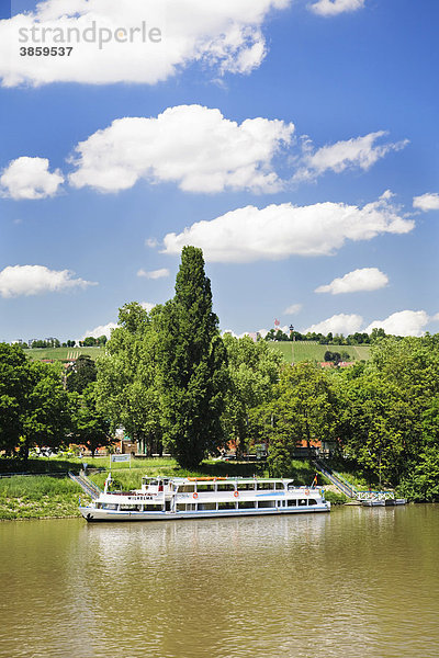 Schiffsanlegestelle am Neckar nahe der Wilhelma  Stuttgart  Baden-Württemberg  Deutschland  Europa