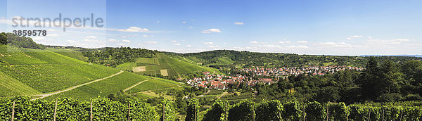 Uhlbach inmitten von Weinbergen in der Nähe von Stuttgart  Baden-Württemberg  Deutschland  Europa