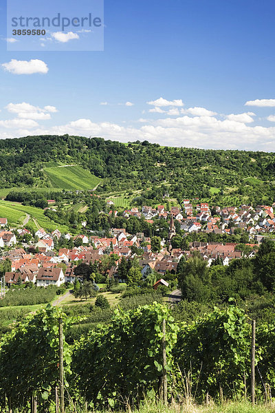 Uhlbach inmitten von Weinbergen in der Nähe von Stuttgart  Baden-Württemberg  Deutschland  Europa