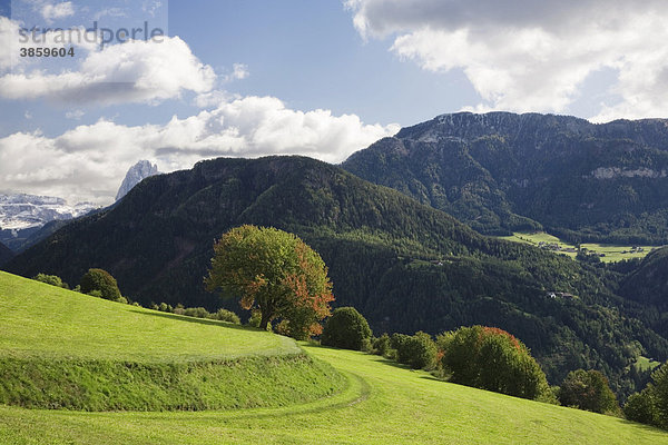 Landschaft im Herbst  Val Gardena  Dolomiten  Trentino-Südtirol  Italien  Europa