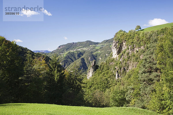 Bäume auf einem Felsvorsprung  Dolomiten  Trentino-Südtirol  Italien  Europa