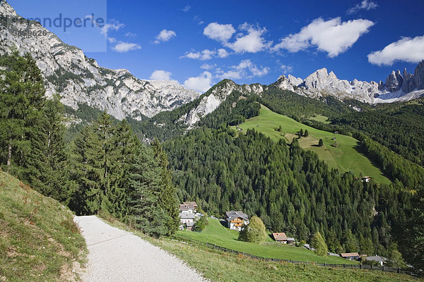 Rosengarten  nahe Tiers  Dolomiten  Trentino-Südtirol  Italien  Europa