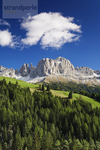 Rosengarten  Dolomiten  Trentino-Südtirol  Italien  Europa