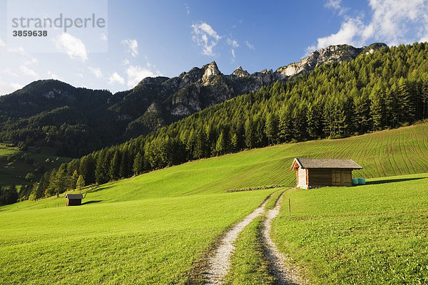 Hütte auf einer Wiese  Tierser Tal  Dolomiten  Trentino-Südtirol  Italien  Europa