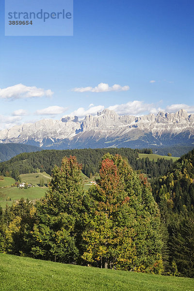 Aussicht über das Eggental auf den Rosengarten  Dolomiten  Trentino-Südtirol  Italien  Europa