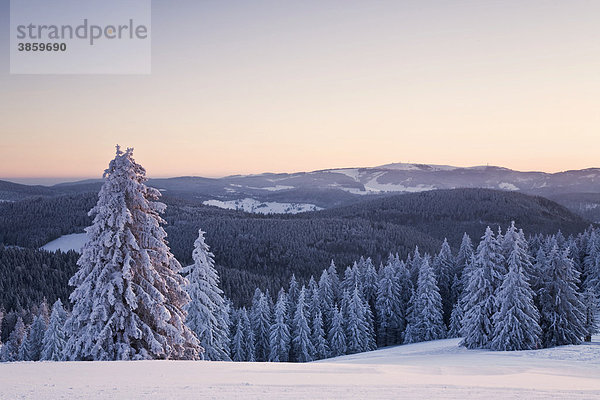 Winterlandschaft am Belchen bei Sonnenaufgang mit Blick zum Feldberg  Schwarzwald  Baden-Württemberg  Deutschland  Europa