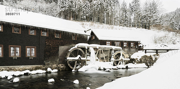 Hexenlochmühle im Winter  Schwarzwald  Baden-Württemberg  Deutschland  Europa