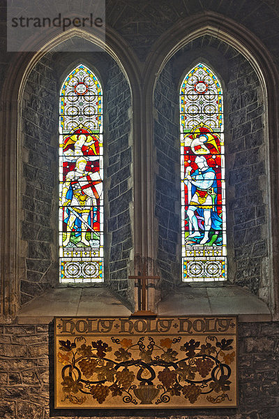 Fenster von Seitenkapelle links  Sankt-Cainnech-Kathedrale  St. Canice's Cathedral  Kilkenny  County Kilkenny  Irland  Britische Inseln  Europa