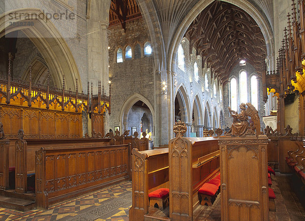 Chorgestühl aus Eichenholz  Sankt-Cainnech-Kathedrale  St. Canice's Cathedral  Kilkenny  County Kilkenny  Irland  Britische Inseln  Europa