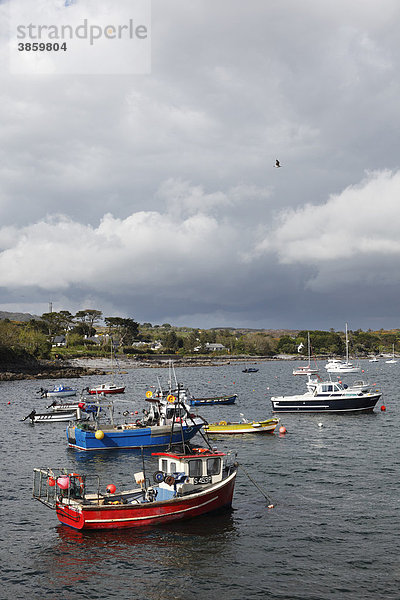 Fischkutter  Hafen in Skull  Schull  Mizen Head Peninsula  West Cork  Irland  Britische Inseln  Europa