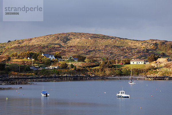 Küste in Skull  Schull  Mizen Head Peninsula  West Cork  Irland  Britische Inseln  Europa