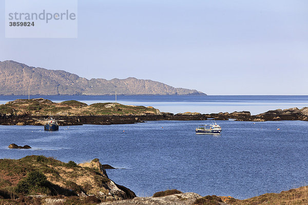 Fischkutter in Ballycrovane Harbour  Eyeries  Beara-Halbinsel  County Cork  Irland  Britische Inseln  Europa