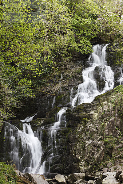 Torc Wasserfall  Killarney Nationalpark  County Kerry  Irland  Britische Inseln  Europa