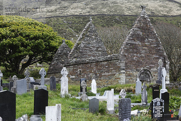 Ehemaliges Kloster Kilmalkedar Church  Dingle Halbinsel  County Kerry  Irland  Britische Inseln  Europa