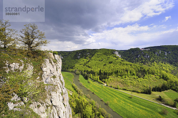 Der Eichfelsen ist ein gesicherter Schaufelsen im oberen Donautal  Landkreis Sigmaringen  Baden-Württemberg  Deutschland  Europa