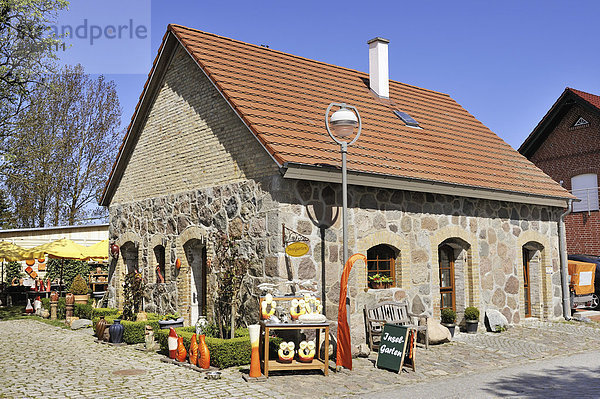 Traditionelles Landhaus mit Kunstatelier in Putgarten bei Kap Arkona  Insel Rügen  Mecklenburg-Vorpommern  Deutschland  Europa