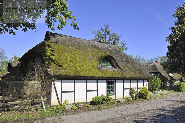 Traditionell gebautes niederdeutsches Hallenhaus an einer Dorfstraße bei Sagard  Insel Rügen  Mecklenburg-Vorpommern  Deutschland  Europa