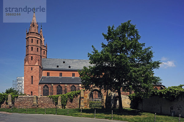 Liebfrauenkirche  Worms  Rheinland-Pfalz  Deutschland  Europa