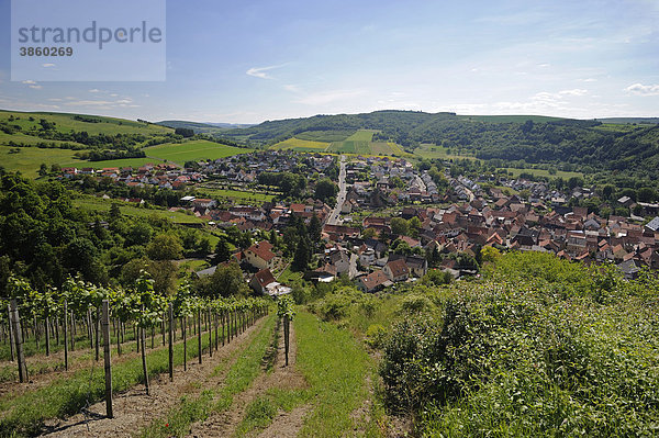 Ausblick von einer Anhöhe auf Odernheim am Zusammenfluss von Glan und Nahe  Odernheim  Rheinland-Pfalz  Deutschland  Europa