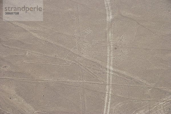 Der Hund  Nasca-Linien  Nazca-Linien  UNESCO Welterbe bei Nasca oder Nazca  Peru  Südamerika
