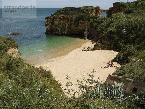 Typische Steilküste und Strand Praia dos Estudantes bei Lagos  Algarve  Portugal  Europa