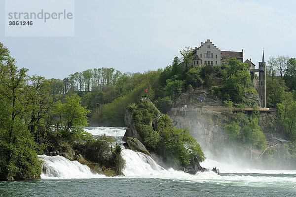 Schloss Laufen am Rheinfall mit dem charakteristischen Felsen im Vordergrund  Schaffhausen  Schweiz  Europa