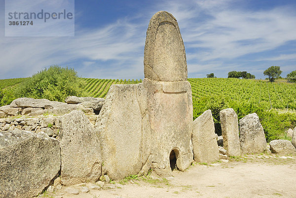Prähistorisches Hünengrab mit Stele aus Granit inmitten von Weinbergen  1800 v. Chr.  Bronzezeit  Tomba di Giganti Coddu Vecchju  Arzachena  Sardinien  Italien  Europa