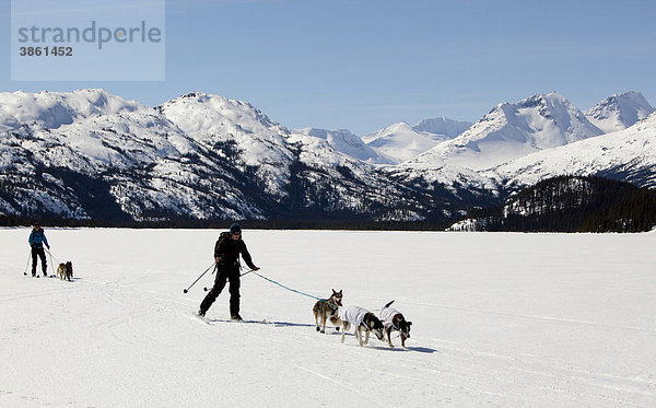 Zwei Frauen beim Skijöring  Schlittenhunde ziehen Langläufer  Hundesport  Alaskan Huskies  gefrorener Lake Lindeman  Berge dahinter  Küstengebirge  Chilkoot Pass  Chilkoot Trail  Yukon Territory  British Columbia  Kanada