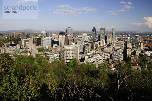 Skyline vom Aussichtsberg Mont Royal aus gesehen  Montreal  Quebec  Kanada