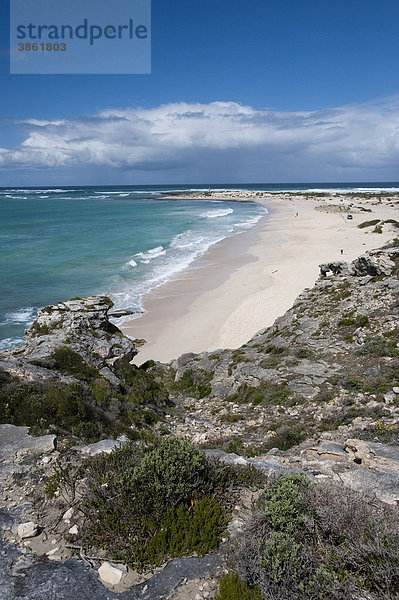 Strand und Vegetation in Arniston  westliche Kapregion  Südafrika  Afrika