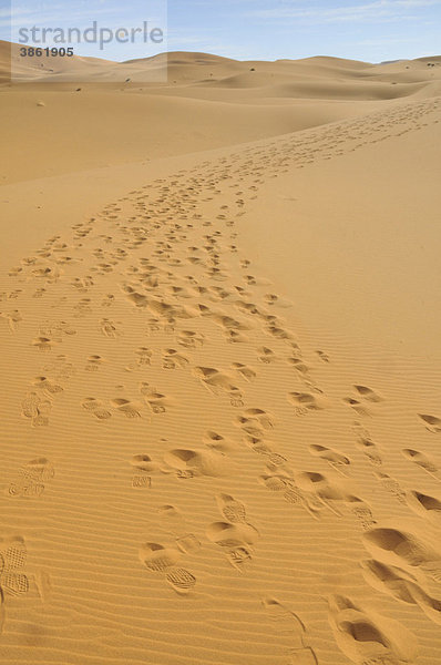 Spuren in den Sanddünen  Erg Chebbi  Marokko  Afrika