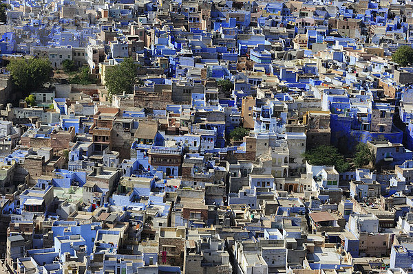 Brahmapuri  blaue Stadt  Brahmanenstadt  Stadtteil von Jodhpur  Rajasthan  Indien  Asien