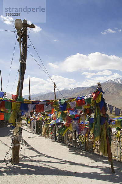 Tibetisches buddhistisches Kloster mit Gebetsfahnen in der Himalayaregion nahe Leh  Ladakh  Himalaya  Indien  Asien