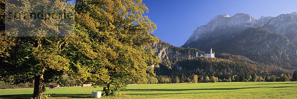 am  Architektur  außen  Außenaufnahme  Ausflugsziel  Ausflugsziele  aussen  Aussenaufnahme  Aussenaufnahmen  Bäume  Baeume  Baum  Bauwerk  Bauwerke  bayerisch  bayerische  bayerischer  bayerisches  Bayern  bayrisch  bayrische  bayrischer  bayrisches  bei  bekannt  bekannte  bekannter  bekanntes  berühmt  berühmte  berühmter  berühmtes  Berg  Berge  bergig  bergige  bergiger  bergiges  beruehmt  beruehmte  beruehmter  beruehmtes  BRD  Bundesrepublik  deutsch  deutsche  deutscher  deutsches  Deutschland  draußen  draussen  europäisch  europäische  europäischer  europäisches  Europa  europaeisch  europaeische  europaeischer  europaeisches  Füssen  Fuessen  Gebäude  Gebaeude  Herbst  Herbstblätter  Herbstblaetter  Herbstblatt  Herbstfarben  herbstlich  herbstliche  herbstlicher  herbstliches  im  Jahreszeit  Jahreszeiten  Landschaft  Landschaften  menschenleer  Natur  Neuschwanstein  niemand  Ostallgäu  Ostallgaeu  Panorama  Panoramabild  Panoramabilder  Panoramas  Panoramen  Pflanze  Pflanzen  Süddeutschland  Schlösser  Schloß  Schloesser  Schloss  Sehenswürdigkeit  Sehenswürdigkeiten  sehenswert  sehenswerte  sehenswerter  sehenswertes  Sehenswuerdigkeit  Sehenswuerdigkeiten  Sueddeutschland  Tag  Tage  Tageslicht  tagsüber  tagsueber  Touristenattraktion  Touristenattraktionen