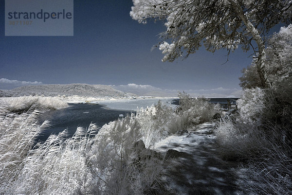 am  außen  Außenaufnahme  Ausblick  aussen  Aussenaufnahme  Aussenaufnahmen  Aussicht  Aussichten  Bäume  Baeume  Baum  bei  Blick  Dalaman  draußen  draussen  Gewässer  Gewaesser  Gräser  Graeser  Gramineae  Gras  Küste  Küsten  Küstenlandschaft  Küstenlandschaften  Küstenstrich  Küstenstriche  Kueste  Kuesten  Kuestenlandschaft  Kuestenlandschaften  Kuestenstrich  Kuestenstriche  Landschaft  Landschaften  Meer  Meerausblick  Meere  Meeresküste  Meeresküsten  Meereskueste  Meereskuesten  menschenleer  mit  Natur  niemand  Pflanze  Pflanzen  Poaceae  Poales  Strände  Straende  Strand  Türkei  türkisch  türkische  türkischer  türkisches  Tag  Tage  Tageslicht  tagsüber  tagsueber  Tuerkei  tuerkisch  tuerkische  tuerkischer  tuerkisches  Ufer  Vorderasien  Wasser  weit  Weite  weite  weiter  weites