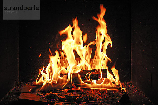 brennen  brennend  brennende  brennender  brennendes  Brennholz  brennt  Feuer  Feuerholz  Flamme  Flammen  hölzern  hölzerne  hölzerner  hölzernes  heiß  heiße  heißer  heißes  heiss  heisse  heisser  heisses  Hitze  hoelzern  hoelzerne  hoelzerner  hoelzernes  Holz  innen  Innenaufnahme  Kamin  Kamine  Kaminfeuer  menschenleer  niemand  verbrennen  Wärme  Waerme
