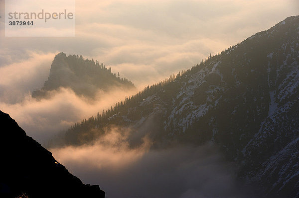 Österreich  österreichisch  österreichische  österreichischer  österreichisches  über  Alpen  Ansicht  Ansichten  Atmosphäre  atmosphärisch  atmosphärische  atmosphärischer  atmosphärisches  Atmosphaere  atmosphaerisch  atmosphaerische  atmosphaerischer  atmosphaerisches  außen  Außenaufnahme  Außerfern  Ausblick  aussen  Aussenaufnahme  Aussenaufnahmen  Ausserfern  Aussicht  Aussichten  Berg  Berge  Berggipfel  bergig  bergige  bergiger  bergiges  Berglandschaft  Berglandschaften  Bewaldeter  blaue  Blick  Dämmerung  Daemmerung  draußen  Draufsicht  Draufsichten  draussen  europäisch  europäische  europäischer  europäisches  Europa  europaeisch  europaeische  europaeischer  europaeisches  Gebirge  Grän  Graen  Himmel  Landschaft  Landschaften  menschenleer  Morgen  Morgendämmerung  Morgendaemmerung  morgendlich  Morgenhimmel  Morgenlicht  Morgenröte  Morgenroete  Morgenrot  morgens  Morgenstimmung  Natur  Nebelmeer  niemand  oben  Oesterreich  oesterreichisch  oesterreichische  oesterreichischer  oesterreichisches  Stimmung  Stimmungen  stimmungsvoll  stimmungsvolle  stimmungsvoller  stimmungsvolles  Stunde  Tal  Tannheimer  Tirol  ueber  von  Wolke  Wolken  wolkenverhangen  wolkenverhangene  wolkenverhangener  wolkenverhangenes