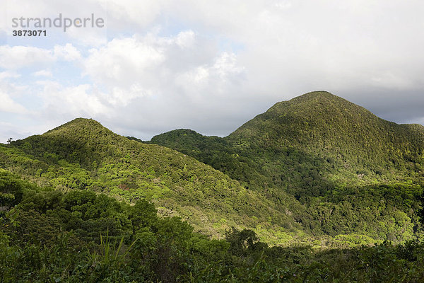 am  Antillen  außen  Außenaufnahme  auf  aussen  Aussenaufnahme  Aussenaufnahmen  Bäume  Baeume  Basse  Basse-Terre  Baum  bei  Berg  Berge  bergig  bergige  bergiger  bergiges  Berglandschaft  Berglandschaften  Blick  Botanik  die  draußen  draussen  Flora  Forst  Forste  Französische  Franzoesische  Gebirge  Guadeloupe  Insel  Inseln  Karibik  karibisch  karibische  karibischer  karibisches  Kleine  Landschaft  Landschaften  Mamelles  menschenleer  Natur  niemand  Pflanze  Pflanzen  Pflanzenkunde  Regenwälder  Regenwaelder  Regenwald  Tag  Tage  Tageslicht  tagsüber  tagsueber  Terre  Wälder  Waelder  Wald  Wildnis