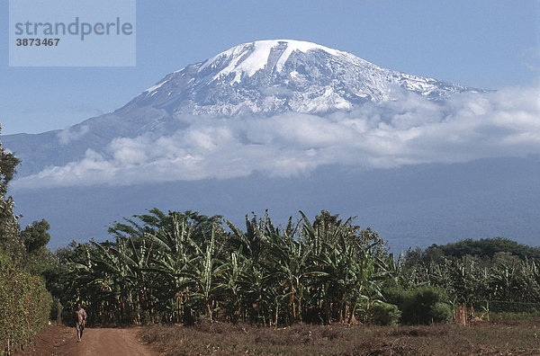 Afrika  afrikanisch  afrikanische  afrikanischer  afrikanisches  am  Anbau  Anbaufläche  Anbauflächen  Anbauflaeche  Anbauflaechen  außen  Außenaufnahme  Ausblick  aussen  Aussenaufnahme  Aussenaufnahmen  Aussicht  Aussichten  Banane  Bananen  Bananengewächs  Bananengewächse  Bananengewaechs  Bananengewaechse  Bananenplantage  Bananenplantagen  Bananenstaude  Bananenstauden  bei  bekannt  bekannte  bekannter  bekanntes  berühmt  berühmte  berühmter  berühmtes  Berg  Berge  Berggruppe  Berggruppen  bergig  bergige  bergiger  bergiges  Berglandschaft  Berglandschaften  Bergmassiv  Bergmassive  beruehmt  beruehmte  beruehmter  beruehmtes  Blick  davor  draußen  draussen  eines  Fläche  Flächen  Flaeche  Flaechen  Flora  Gebirge  Gipfel  Kilimandscharo  Kilimanjaro  Kleinbauern  Landschaft  Landschaften  Landwirtschaft  landwirtschaftlich  landwirtschaftliche  landwirtschaftlicher  landwirtschaftliches  Leute  Mensch  Menschen  Moshi  Musa  Musaceae  Natur  Nutzfläche  Nutzflächen  Nutzflaeche  Nutzflaechen  Nutzpflanze  Nutzpflanzen  Obstanbau  Obstbau  Person  Personen  Pfad  Pfade  Pflanze  Pflanzen  Plantage  Plantagen  schneebedeckt  schneebedeckte  schneebedeckter  schneebedecktes  Sehenswürdigkeit  Sehenswürdigkeiten  sehenswert  sehenswerte  sehenswerter  sehenswertes  Sehenswuerdigkeit  Sehenswuerdigkeiten  Spitze  Spitzen  Tag  Tage  Tageslicht  tagsüber  tagsueber  Tansania  Tanzania  UNESCO  verschneit  verschneite  verschneiter  verschneites  vor  Vulkan  Vulkane  vulkanisch  vulkanische  vulkanischer  vulkanisches  Weg  Wege  Weltnaturerbe  wolkenverhangen  wolkenverhangene  wolkenverhangener  wolkenverhangenes