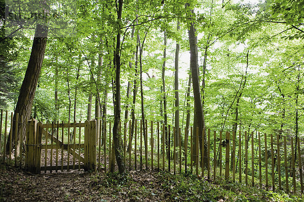 Fußweg  der durch Wälder führt  die durch ein geschlossenes Tor versperrt sind.