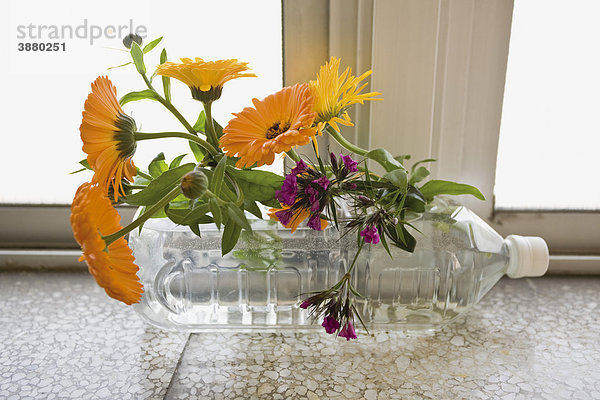 Frische Schnittblumen mit Wasserflasche