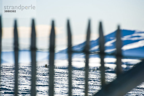 Winterlandschaft jenseits der Zaunlinie